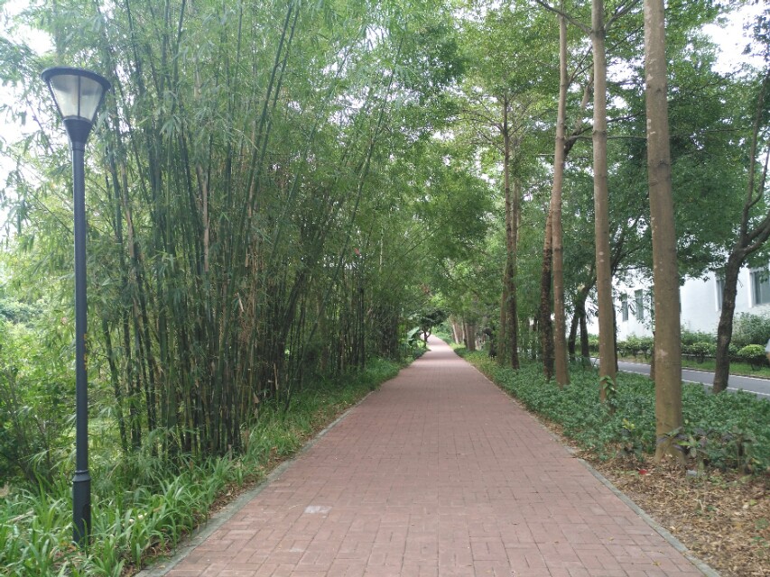 深圳大学是什么档次的大学？看实力如何颜值如何