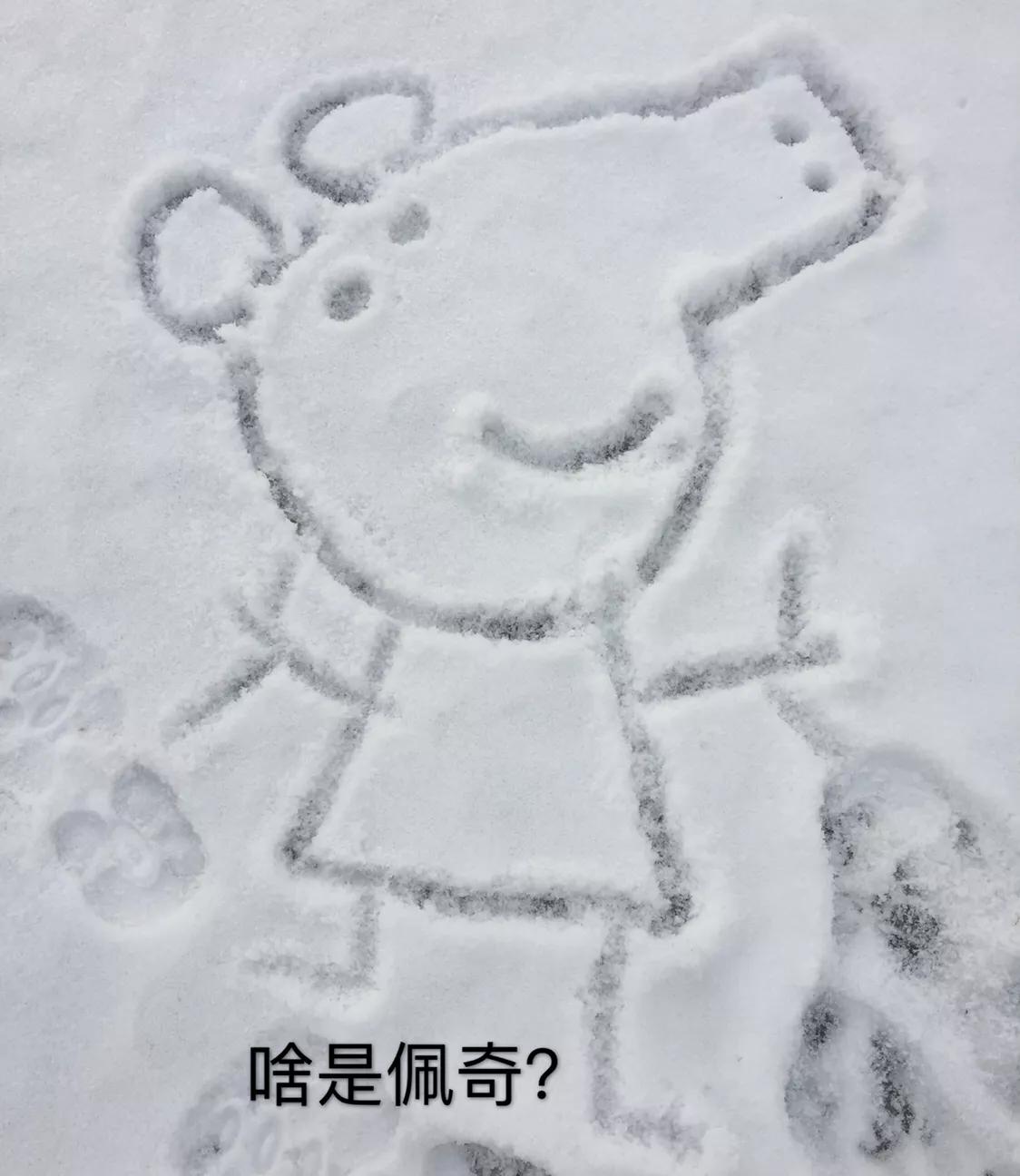 犹豫了很久才买的玩具,犹豫了很久全款买下汽车