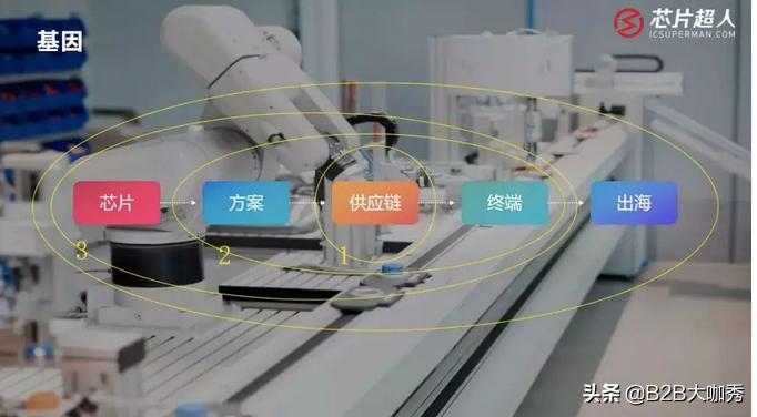 芯片超人姜蕾：不愿做解决方案的分销商，难以抓住国产替换真机遇