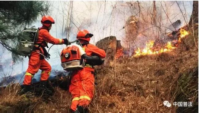 时事热点新闻报道视频,时事热点新闻点评