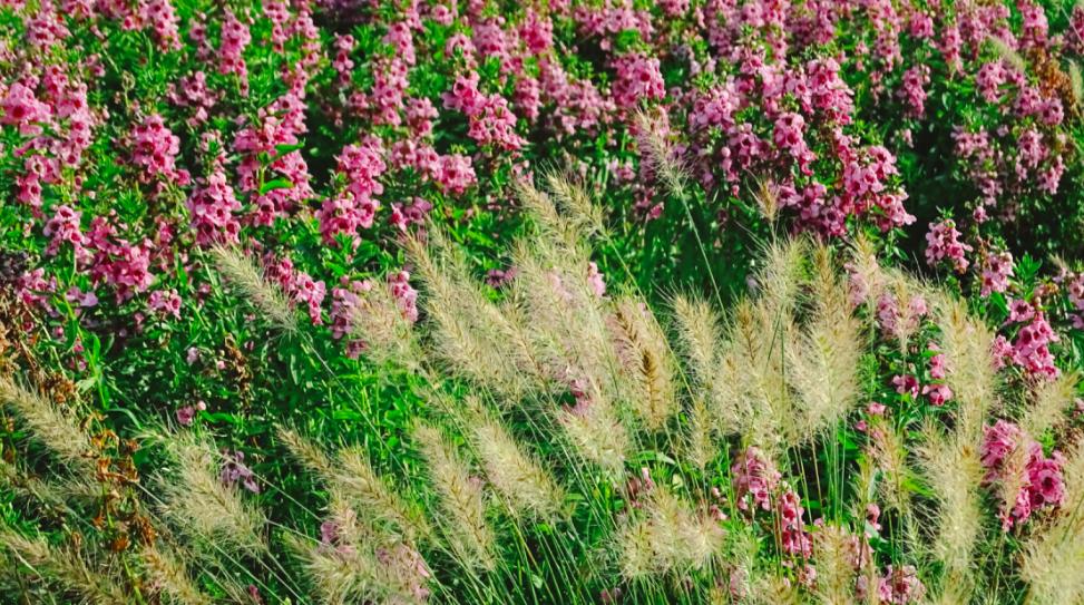 珠海网红村景点,珠海北山村网红打卡圣地