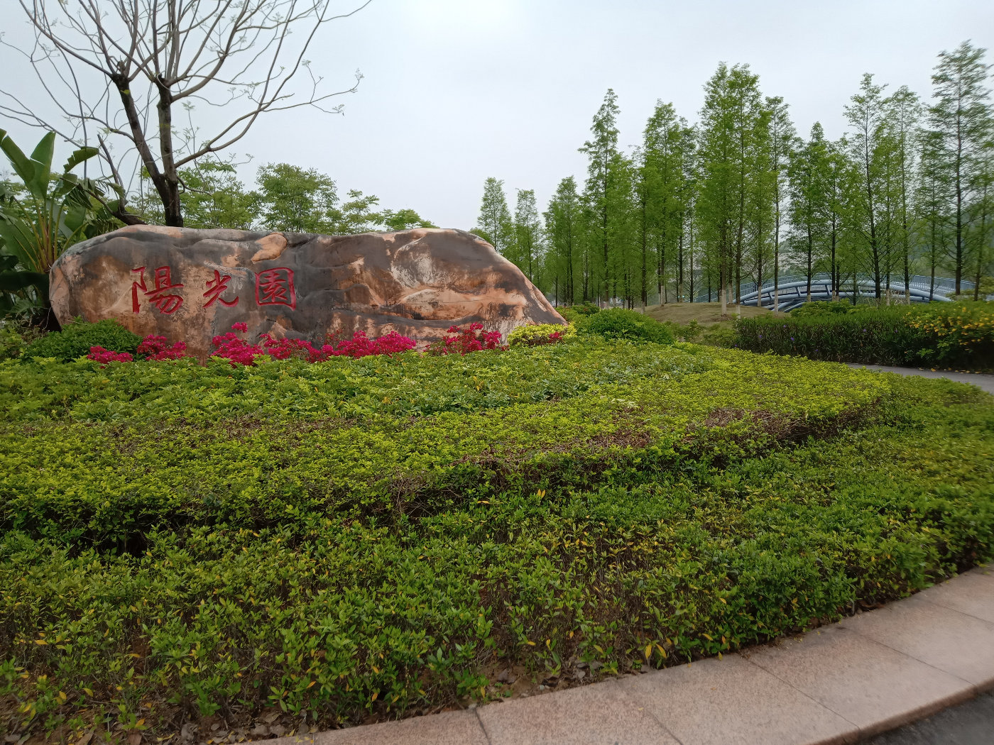 福州大学就像一座大公园，风景美到爆！最美的世界一流学科院校