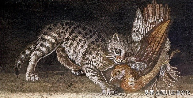 猫的故事高清图片,盘点猫的曾经故事