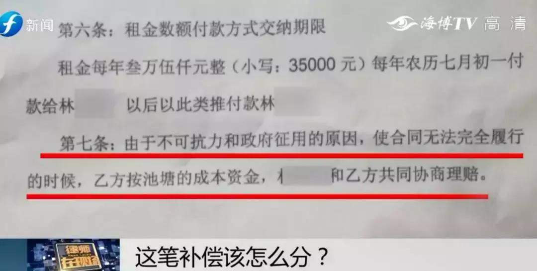 闹心|眼看快收成了,却遇上了麻烦事!这笔清退补偿究竟该怎么分?