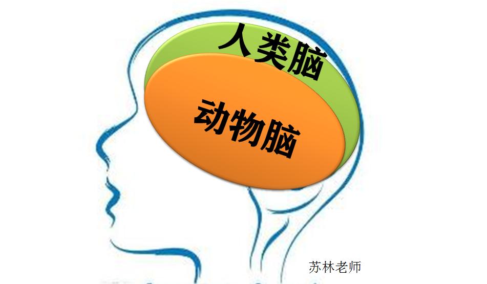 让孩子变聪明看什么书,如何正确引导孩子成长书籍