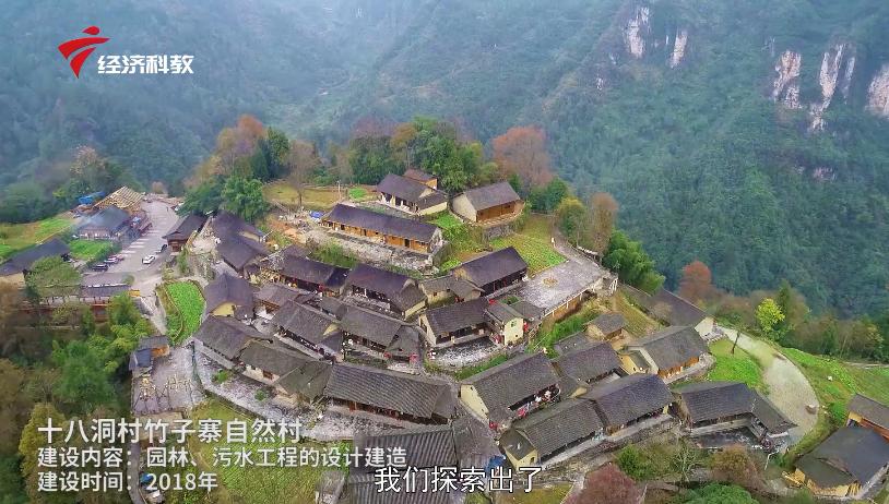 棕榈叶造型设计,棕榈设计公司怎么样