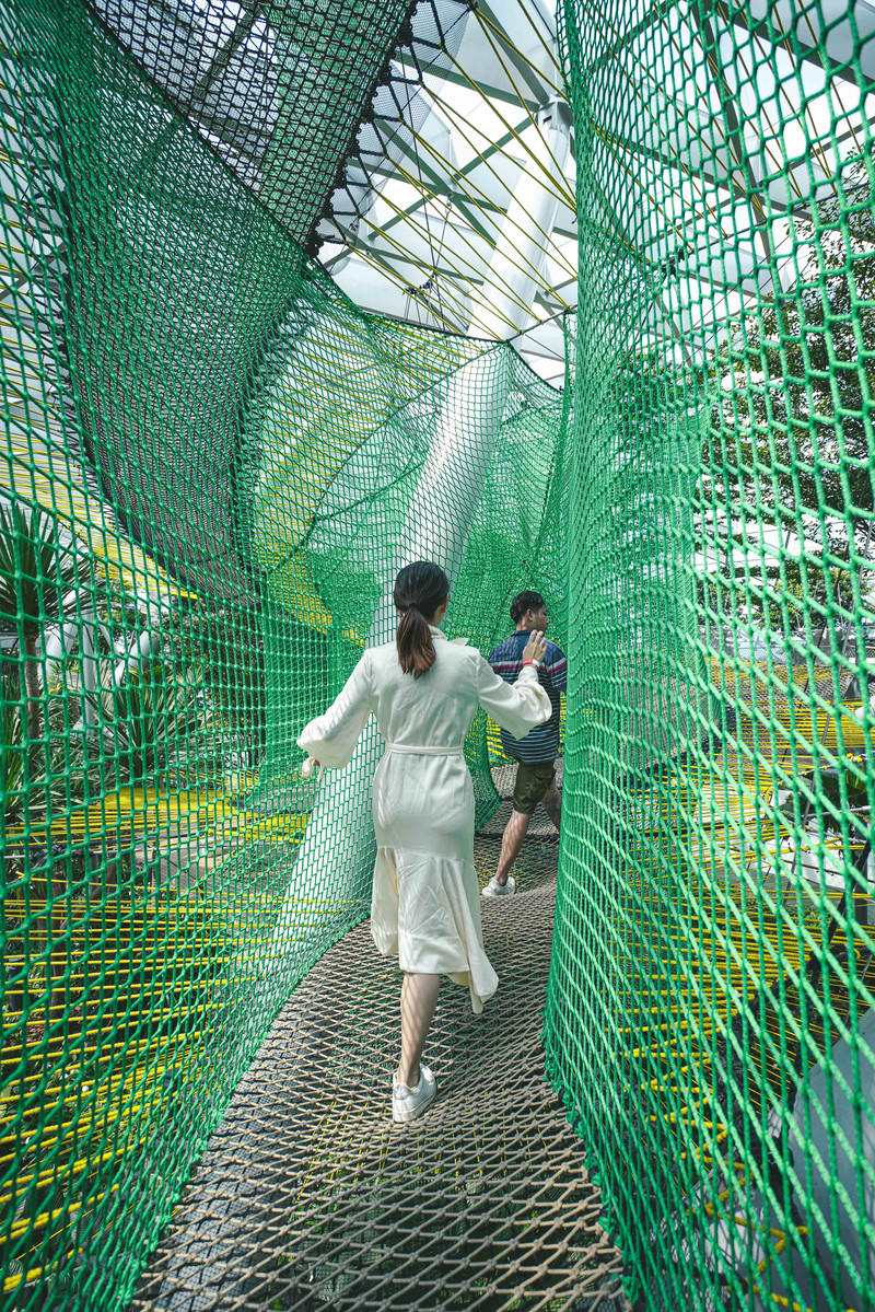 一人一猫环游,一人一猫旅行