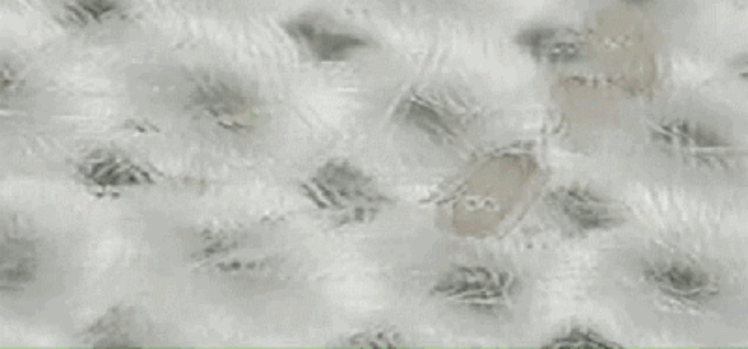 康康,引领生活新潮流|抗菌安全健康舒适,这才是真正的全民纤维