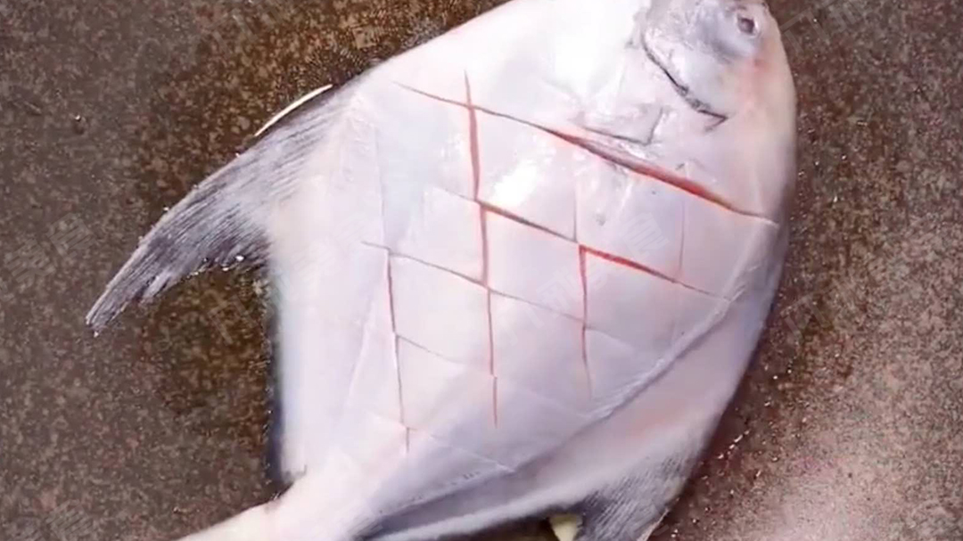 红烧鲳鱼美味可口做法简单易学,红烧鲳鱼最正宗的做法