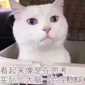 设计微信头像,设计师的微信头像
