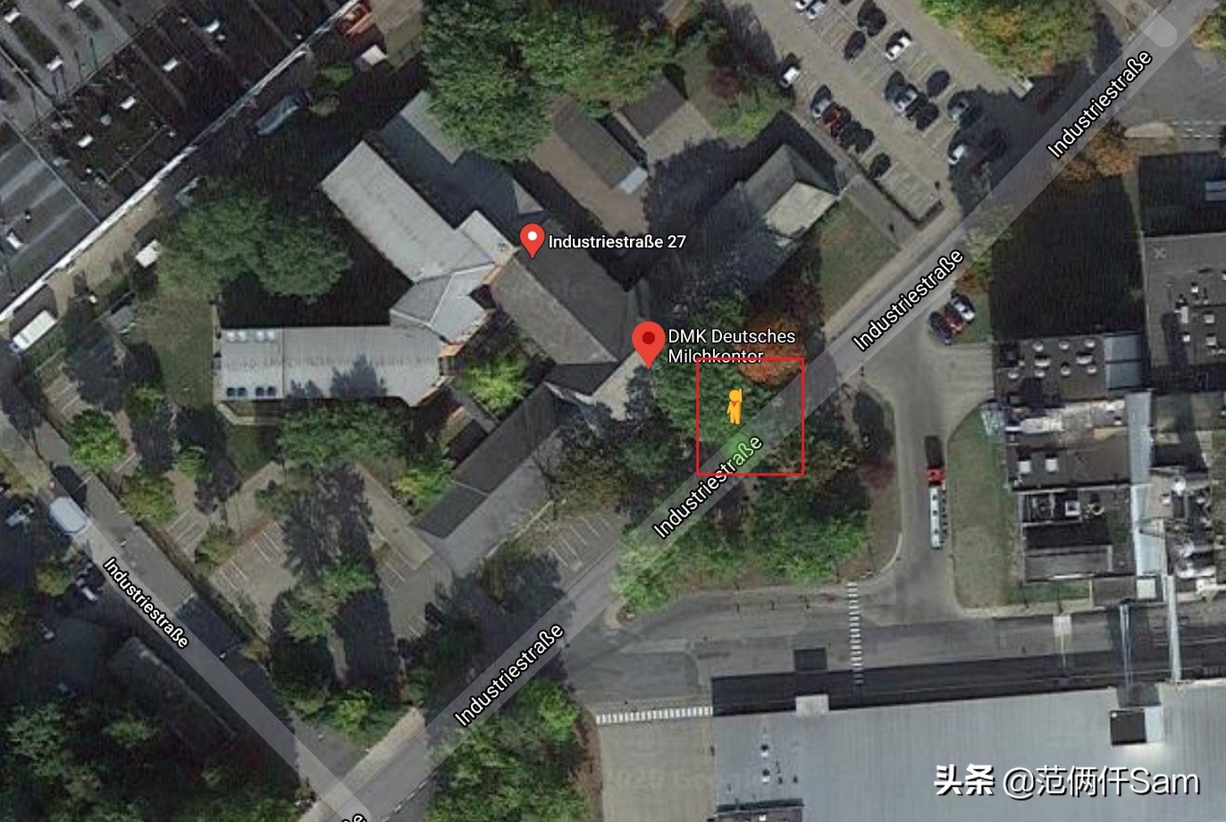 辨别假奶粉只需这几招就够了,怎么判断国外的牛奶是真是假