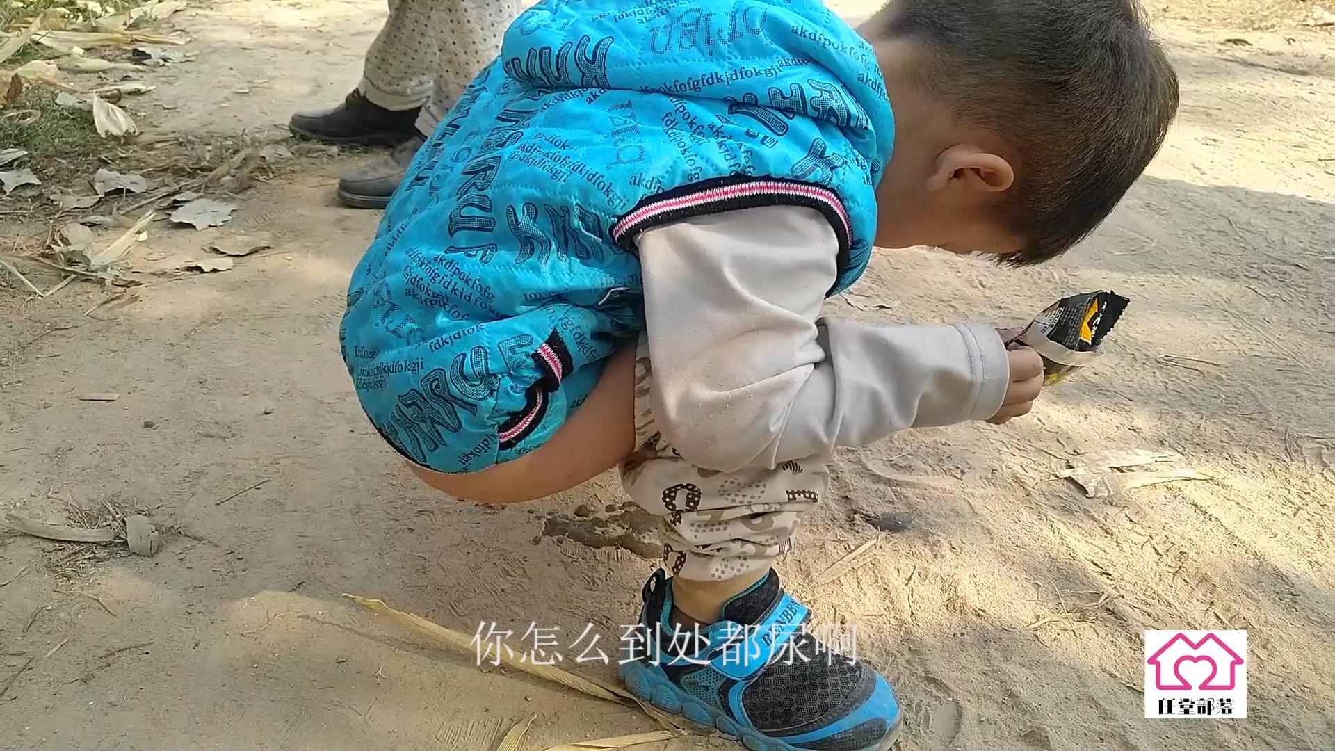 农村地里养殖柴鸡,大叔在农村养一万只芦花鸡