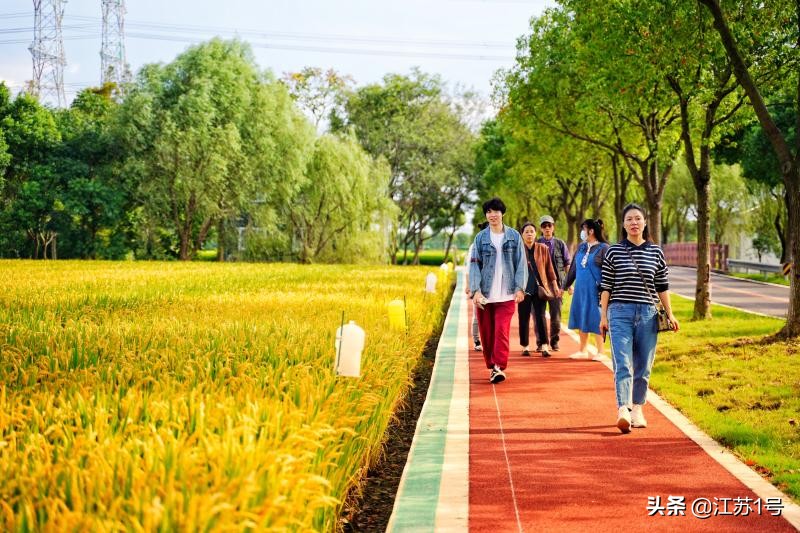 农业集体化是不是大锅饭,集体制农场