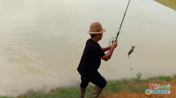 鄱阳县同兴村张晓华：从甲鱼游击队变为致富正规军