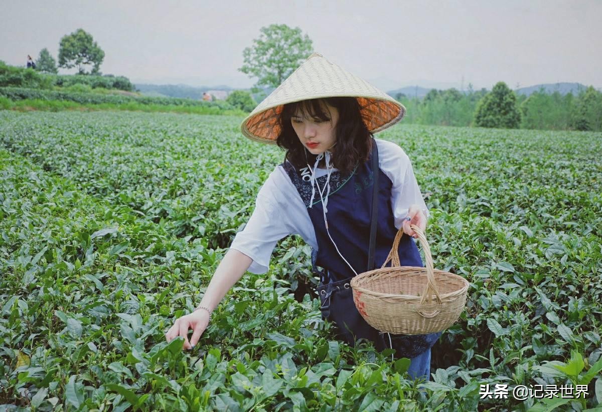 西安柞水县彩礼,柞水县今年娶媳妇彩礼多少钱