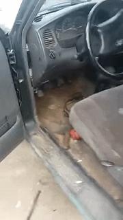 把车标全部抠掉违法吗,把车标抠下来清灰