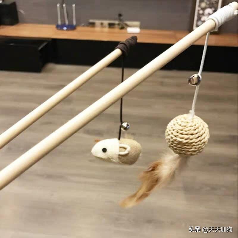 狗狗喜欢的玩具排行榜大全,狗子喜欢什么玩具