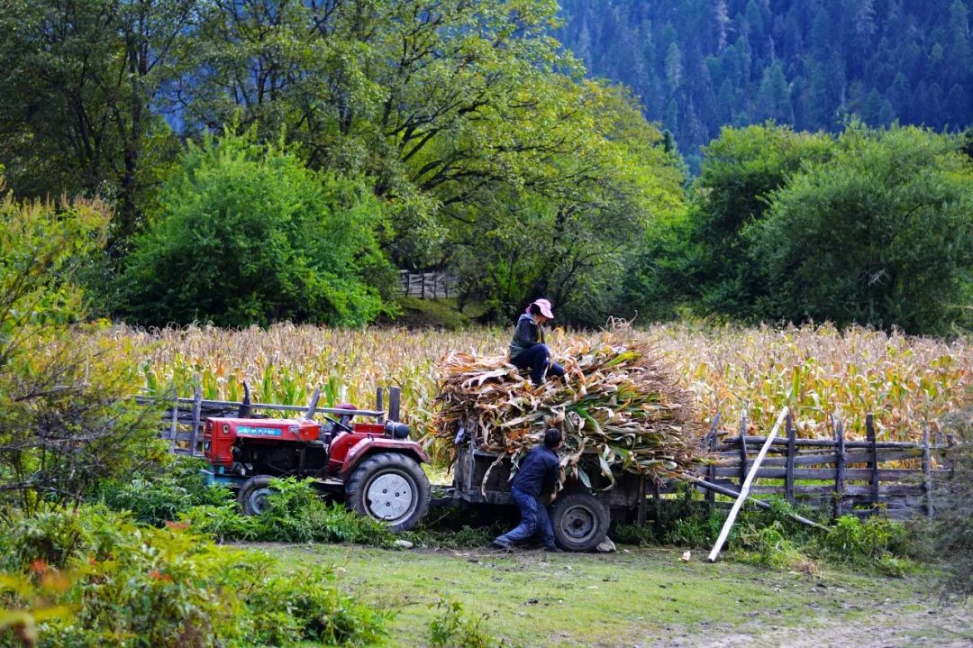 有一种风情叫江南烟雨,波密塞外江南