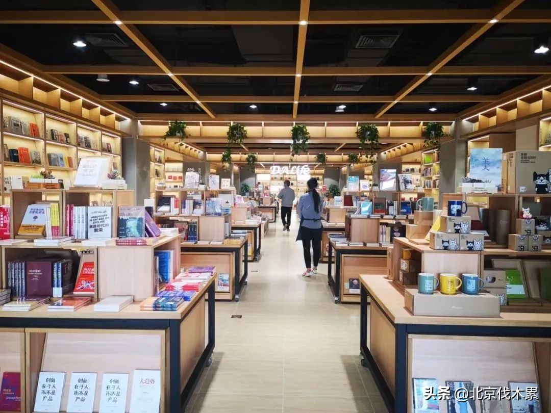 市区又多一个遛娃圣地,不花钱的遛娃胜地