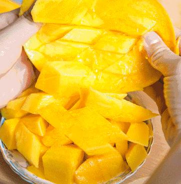 香甜的大芒果海南贵妃芒,芒果味浓郁贵妃芒