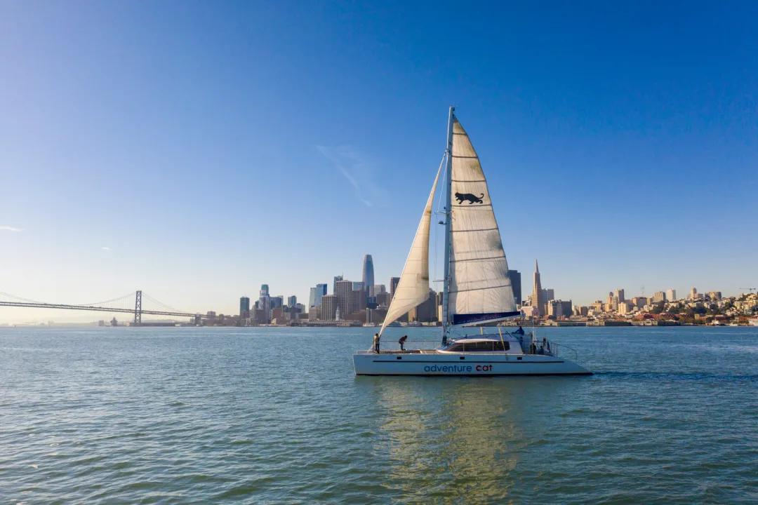 甜蜜的约会在线观看,十个巧克力圣地