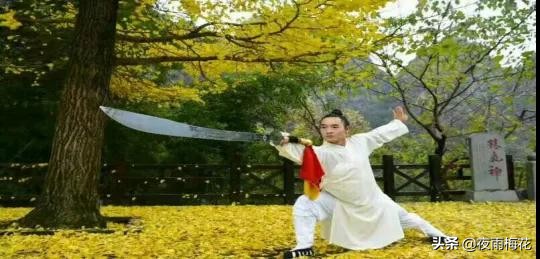 这个暑假你想学36路腿法、古琴、打坐，凌云云学堂在武当山开启