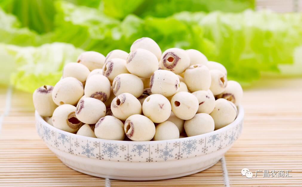 历史上的湘莲简介,湘莲产地和生长环境