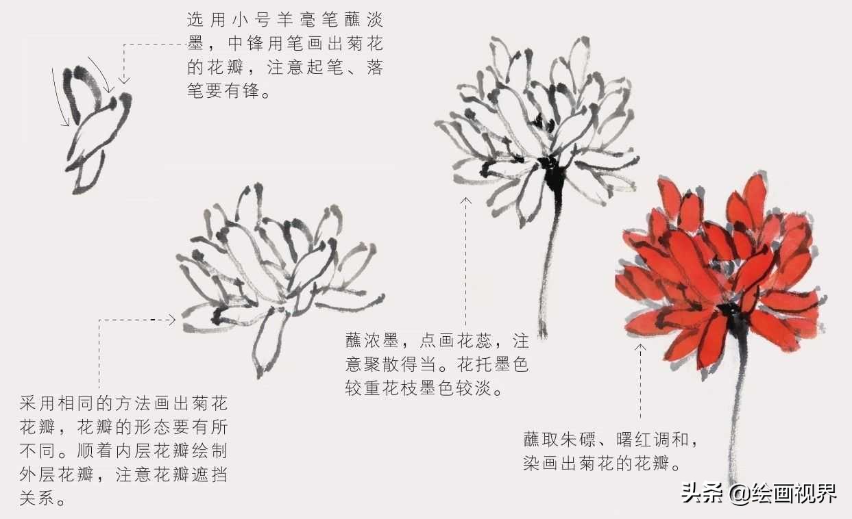 零基础国画（菊花）画法教程：学会这几点技法，几分钟画一朵菊花