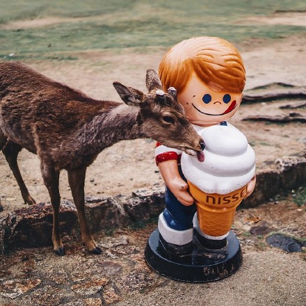 关于日本的传言,日本谣言