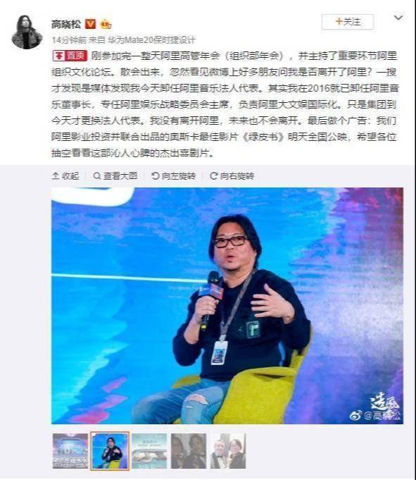 阿里音乐集团董事长高晓松,高晓松直言阿里音乐公司