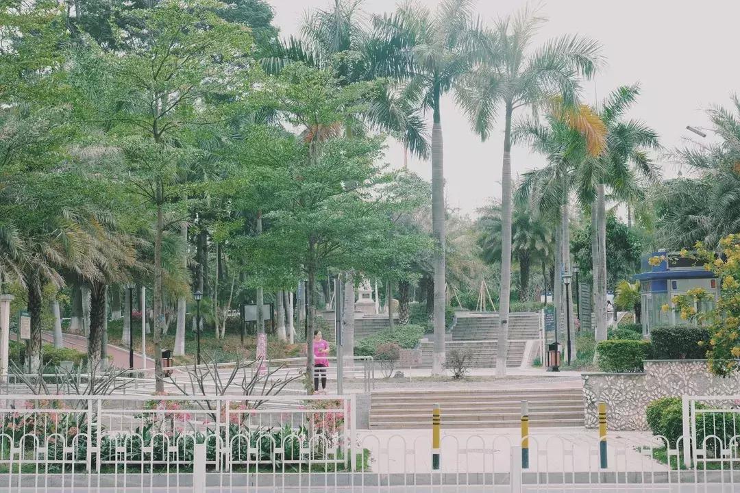 每个地方都有个沙井,好多地方叫沙井