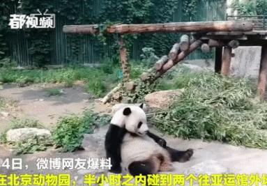 别人说我癞蛤蟆想吃天鹅肉,癞蛤蟆想吃天鹅肉你同意吗