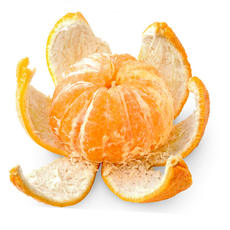 砂糖橘正不正宗,沙糖桔假货都有哪些品种