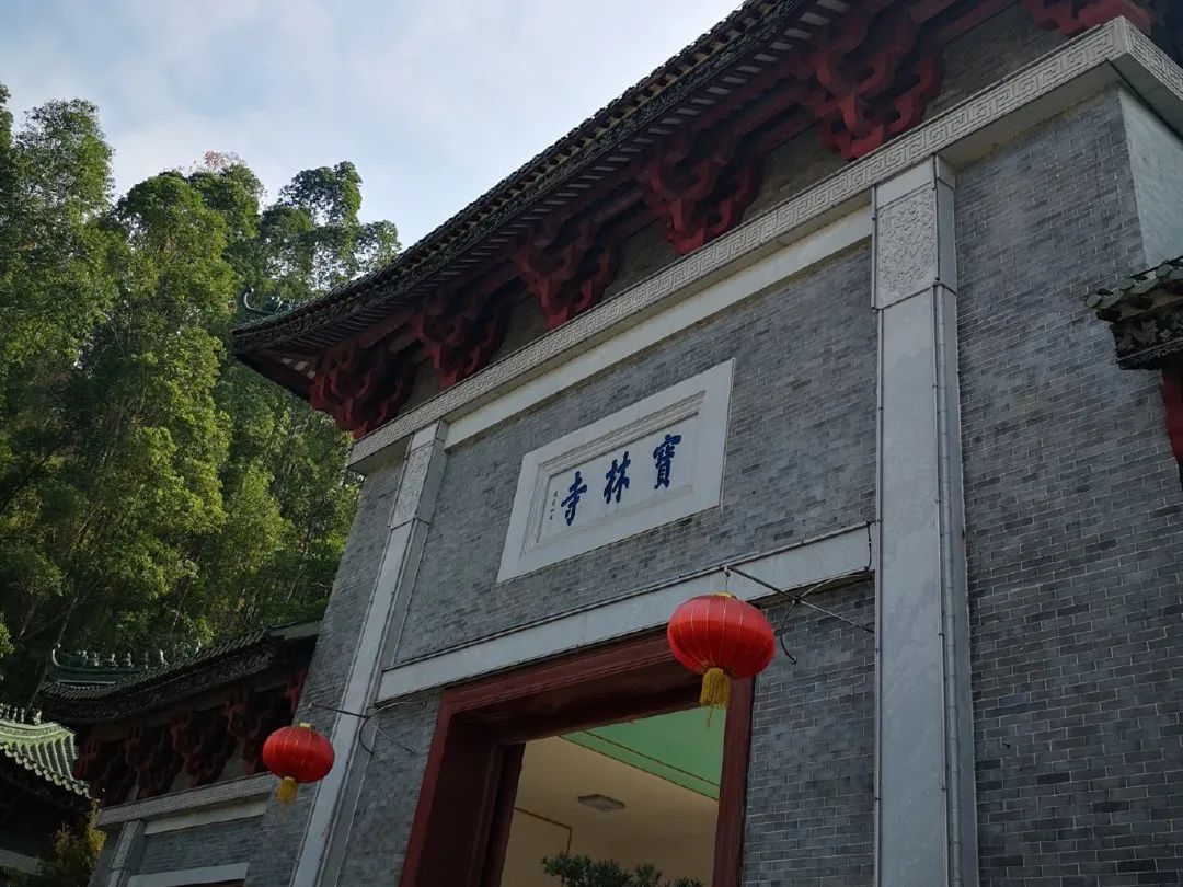 讲真，我嫉妒顺德人