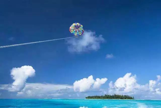 寻找幸运锦鲤活动在哪,寻找锦鲤