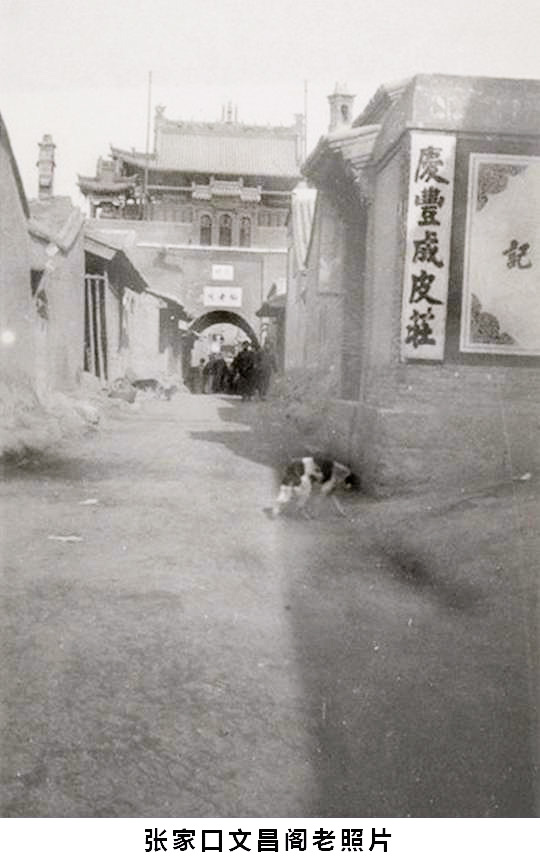 华夏民族为战马奋战千年，察哈尔张家口的马政文化