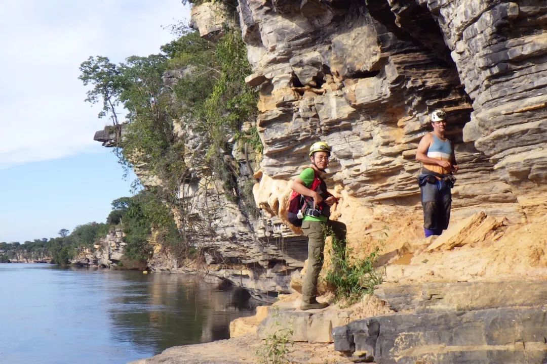 昆虫的性别,变异的昆虫