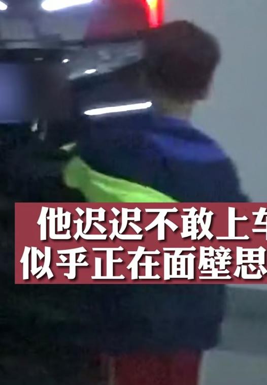 霍思燕喂鸵鸟,霍思燕鸵鸟