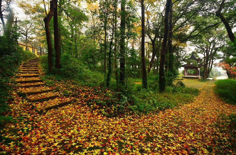 宁波北仑有几个岛,北仑十大山