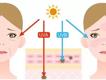 安耐晒日常用哪款,安耐晒如何选择