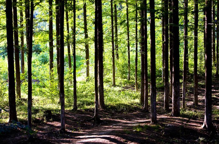 淮南湿地风光视频,淮南公园景点大全