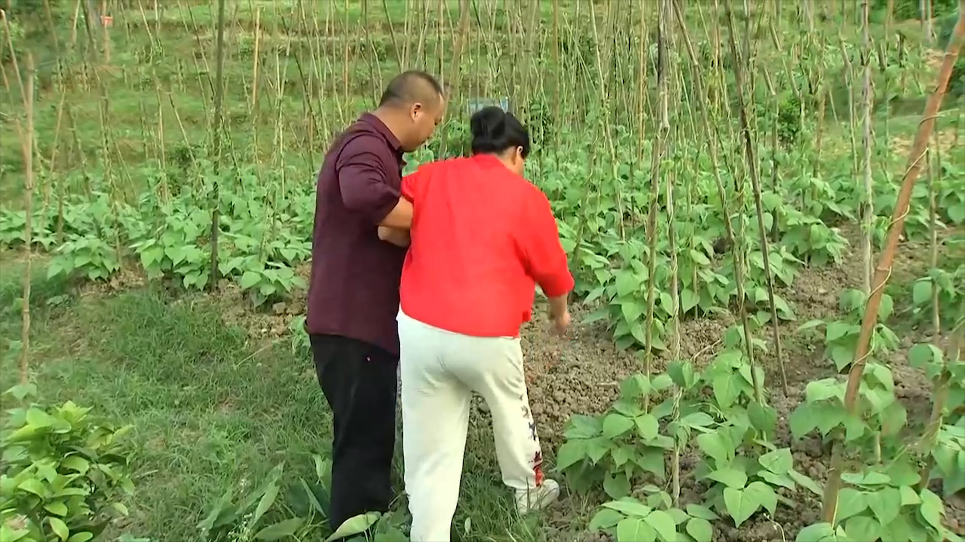 老兵创业的利润,老兵创业致富