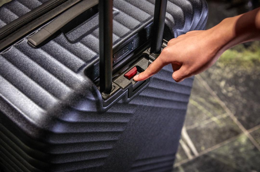 见微知著小说开头,见微知著小说简介