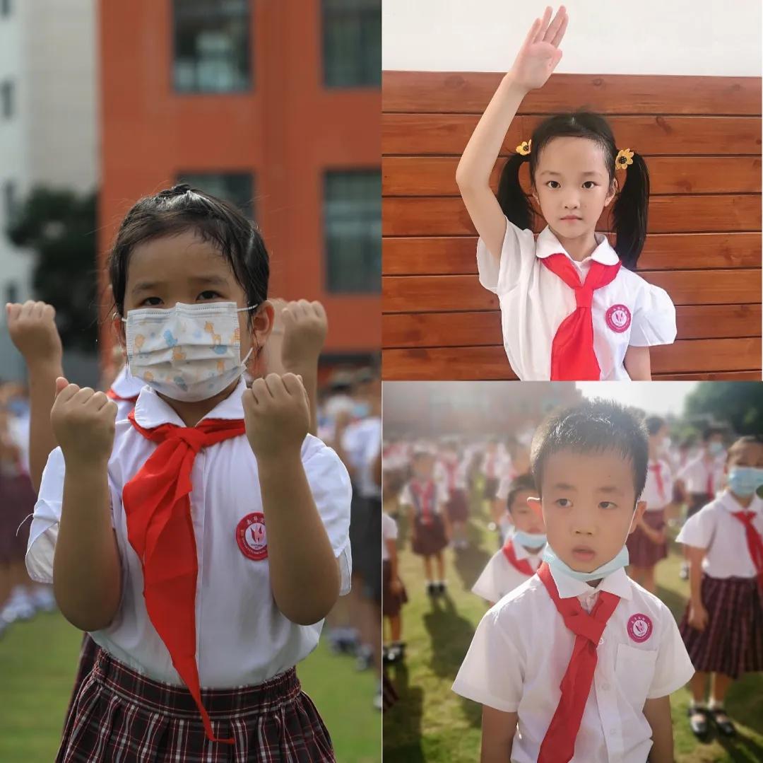 深圳市南华实验学校,家门口的好学校福田