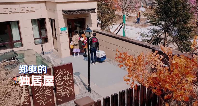 30块便当找张恒报销1000元！身家过亿又如何，郑爽照样贪财