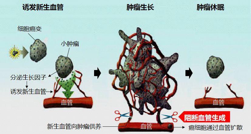 贝达药业的价值分析,贝达药业h股上市价格