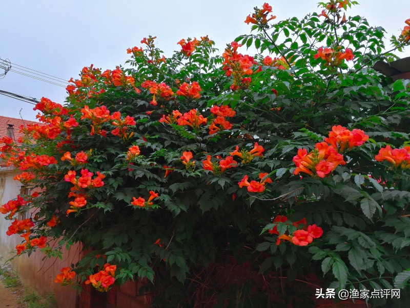 大连这个小岛不去看一看，真的会后悔