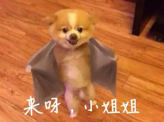 来面试的小姐姐拿出了一款新版笔记本，我去了解了一下……