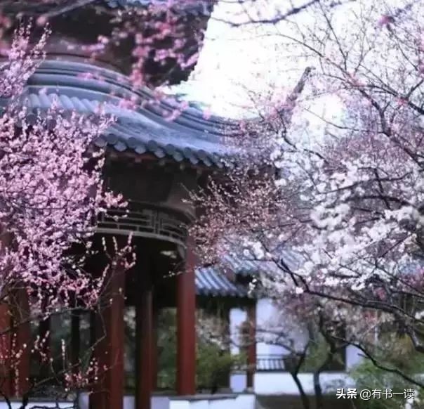 读懂南怀瑾先生经典的22句话,南怀瑾三句话说透了人生最高境界