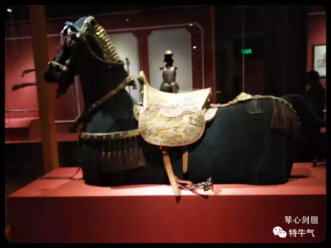 赤金走龙陕西历史博物馆,陕西历史博物馆抢票攻略